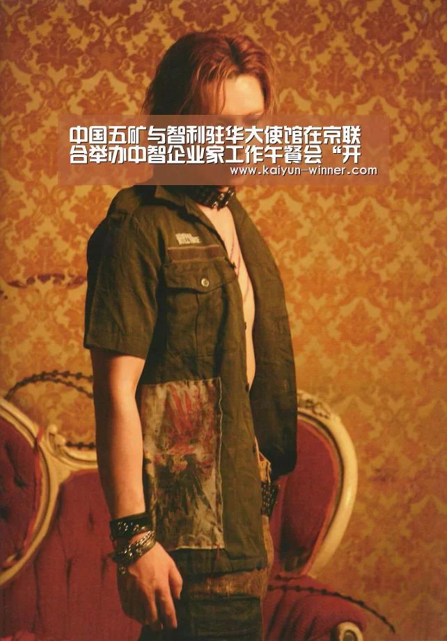 中国五矿与智利驻华大使馆在京联合举办中智企业家工作午餐会“开云入口”(图3) 开云入口